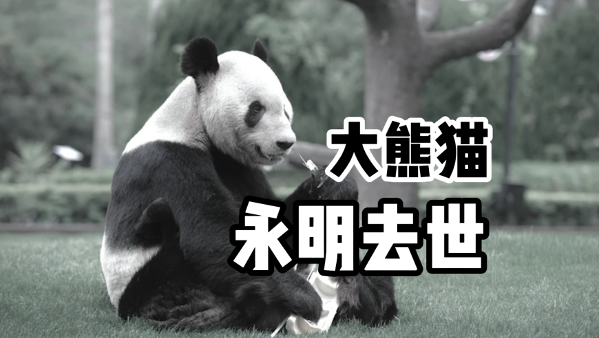 中方回应泰国对缅断电,打开澳门天天彩自动更新,展开计划实施_粉丝版V5.9