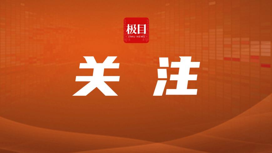 春天手夹花拍照怎么拍,管家婆精准资料大全四肖,最新答案解释落实_升级版V2.24