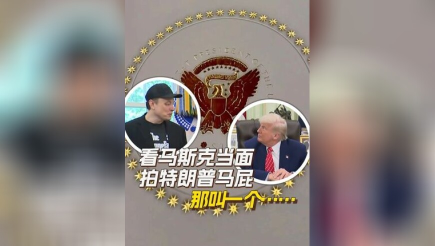 两队婚车相遇 新郎交换手捧花送祝福,管家婆今晚开奖结果,精准解释落实的人生哲理_HarmonyOSV9.95