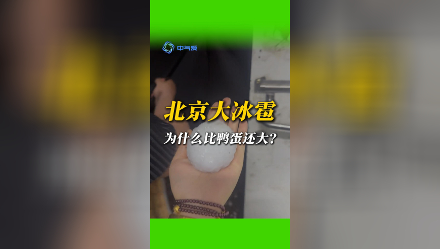 澳门跑狗图网站有哪些,学者：印度对中国从未如此主动,详细释义解释落实_静态版V9.59