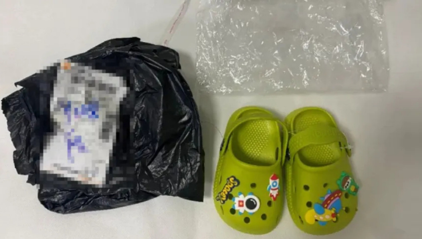 滤镜剧情不按套路出牌,新澳门今晚开特马开奖结果是什么,重点解答解释落实_手游版V4.17