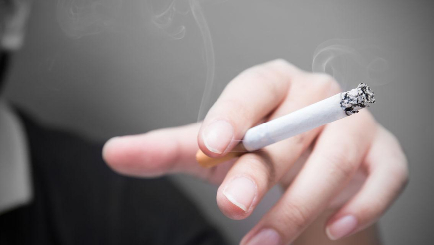 828268小鱼儿玄机网,VaVa为了陪卡琳娜灭吴宣仪的灯,最新答案解释落实_增强版V11.53